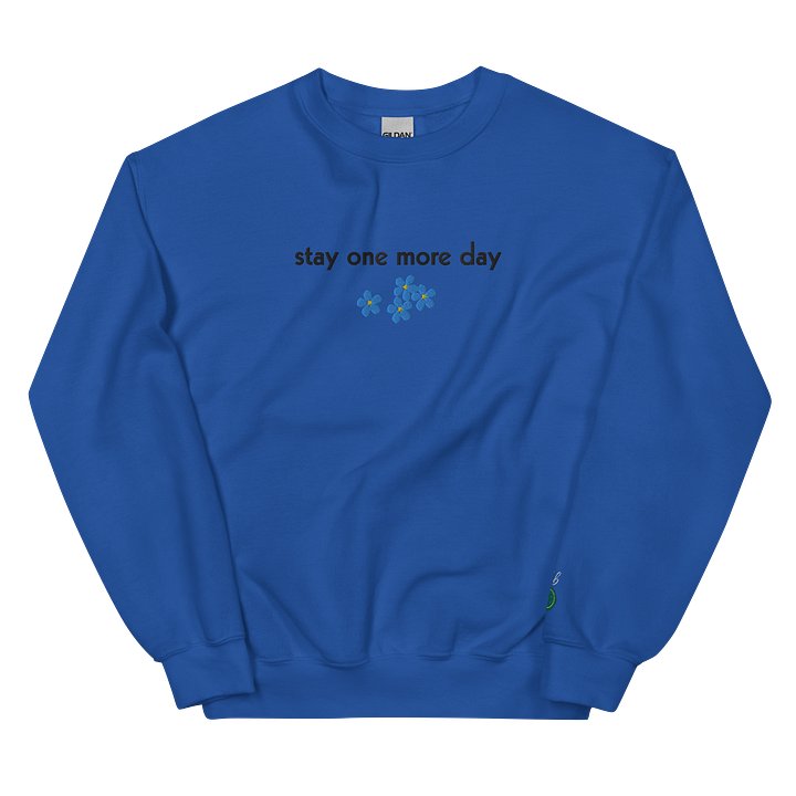 Stay One More Day Embroidered Sweatshirt product image (1)