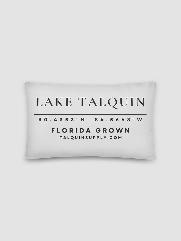 The Coordinates Pillow product image (2)