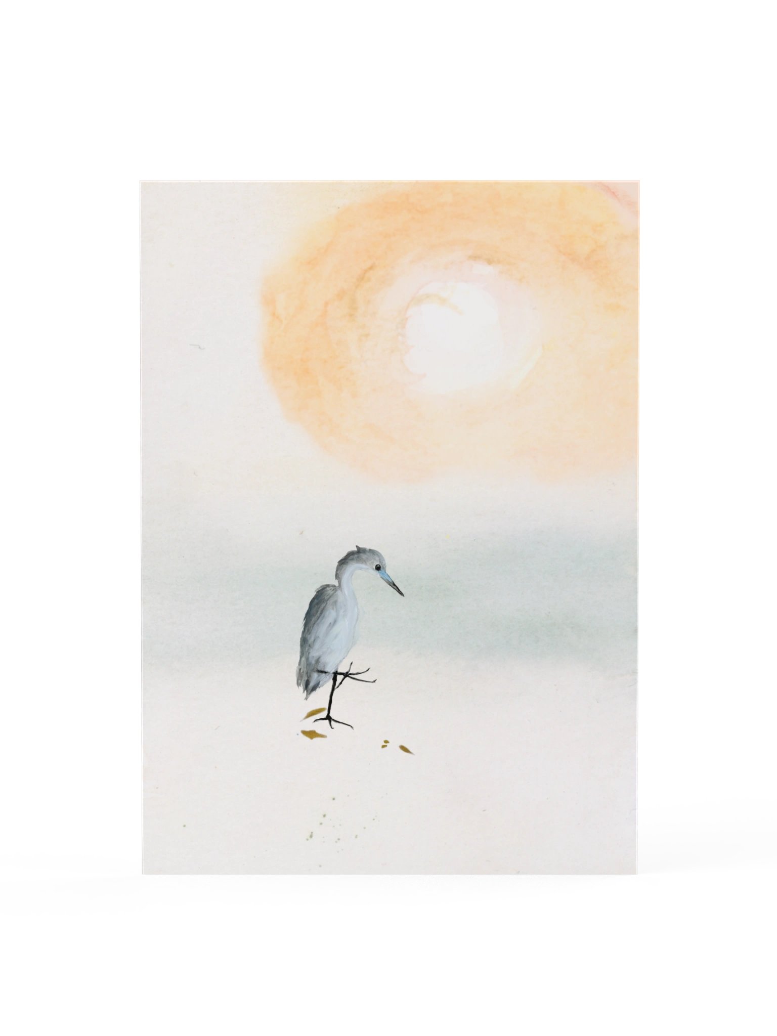 Baby Blue Heron - Fine Art Print product image (3)