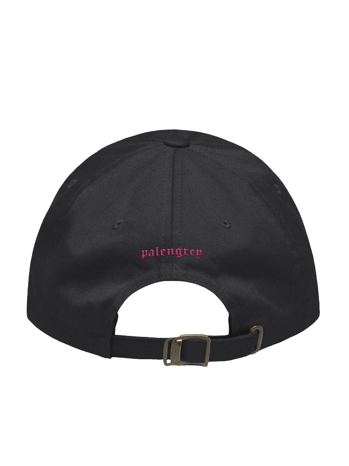 wing hat product image (2)