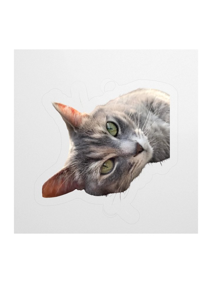 Nova without background product image (1)