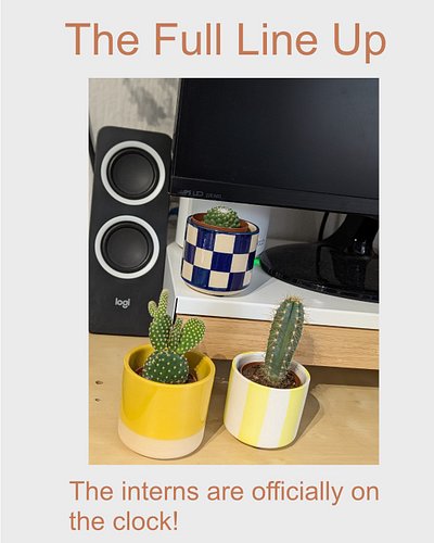 I’ll be completely honest with you: my track record with keeping real houseplants alive is pretty shocking. But since opening...