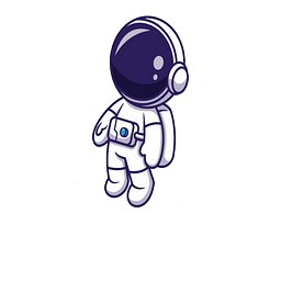 Co-Pilot