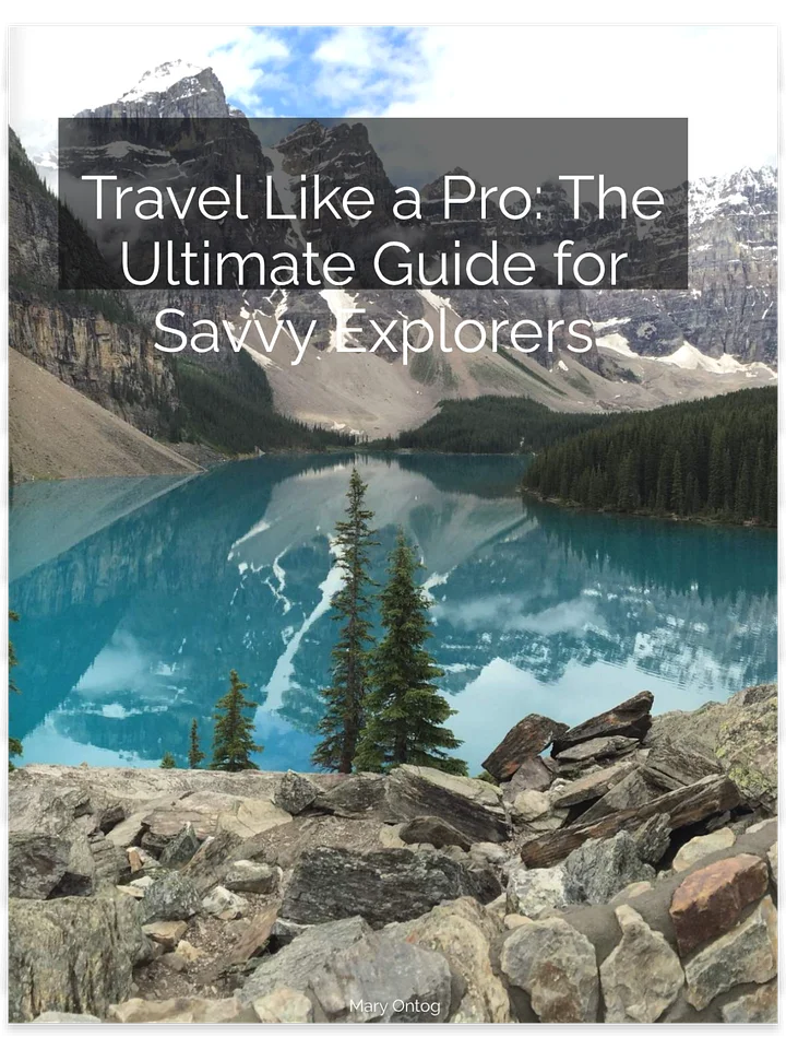 Travel Like a Pro: The Ultimate Guide for Savvy Explorers product image (1)