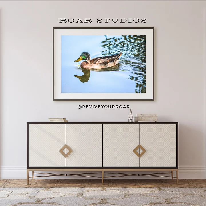 Derek Daniel Dax Doris the Duck product image (1)