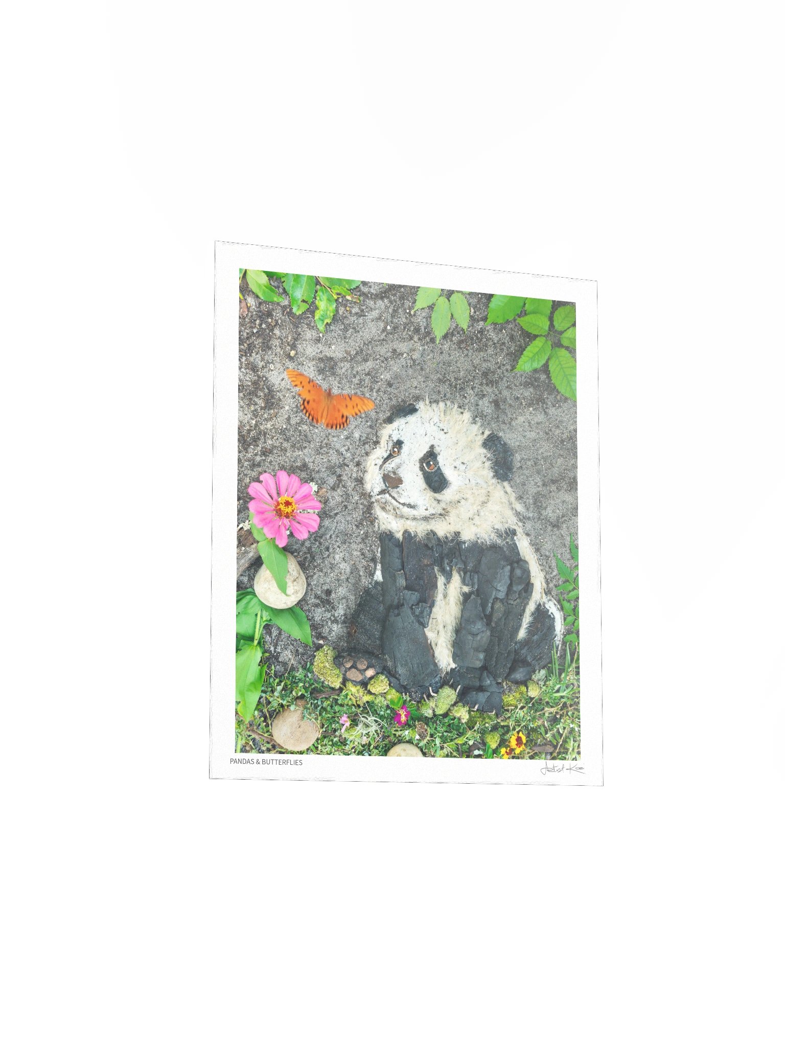 PANDAS & BUTTERFLIES | Fine Art Print product image (6)