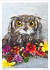 MORNING OWL | Fine Art Print