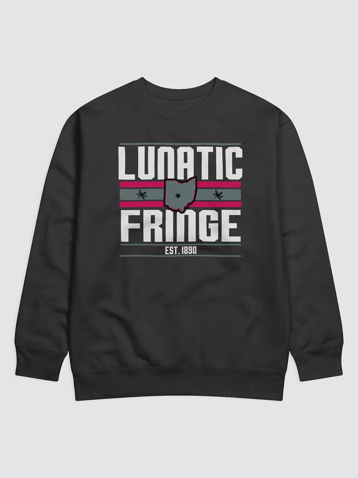 Lunatic Fringe Sweater (Black) product image (1)
