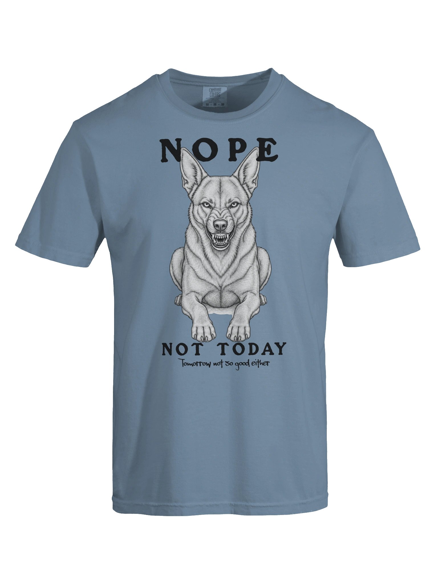 Nope Not Today product image (21)