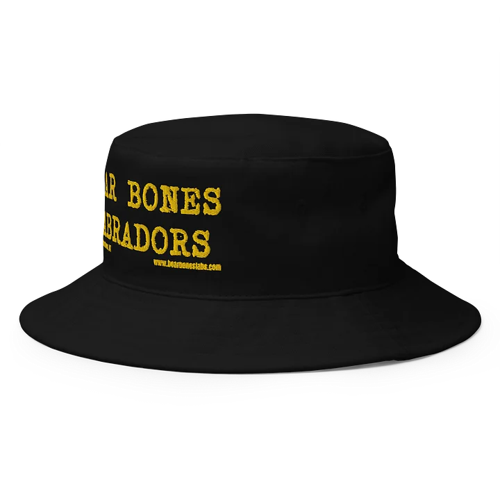 Bucket Hat with Gold Text product image (2)