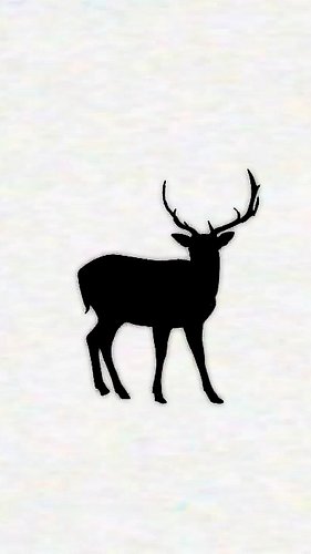 #Horror #creepy #analoghorror #scary #ARG #filmseries #halloween #Kindianima #lore #schrecken #german #animals #tier #unheiml...