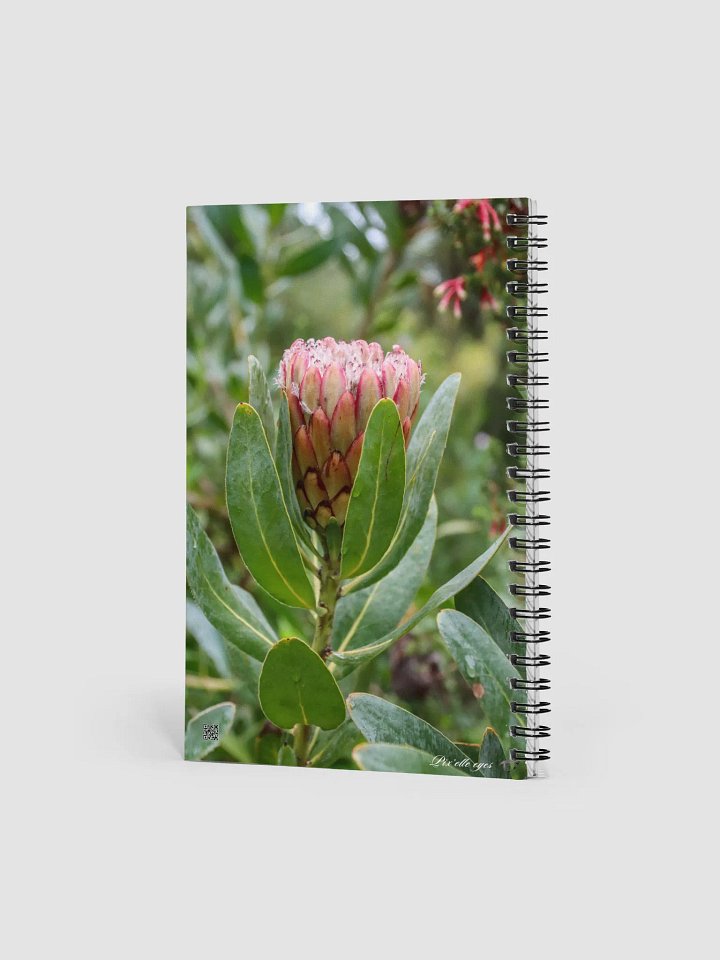 📓 Notebook Collection PURE – Jardin du Rayol – Protea product image (2)