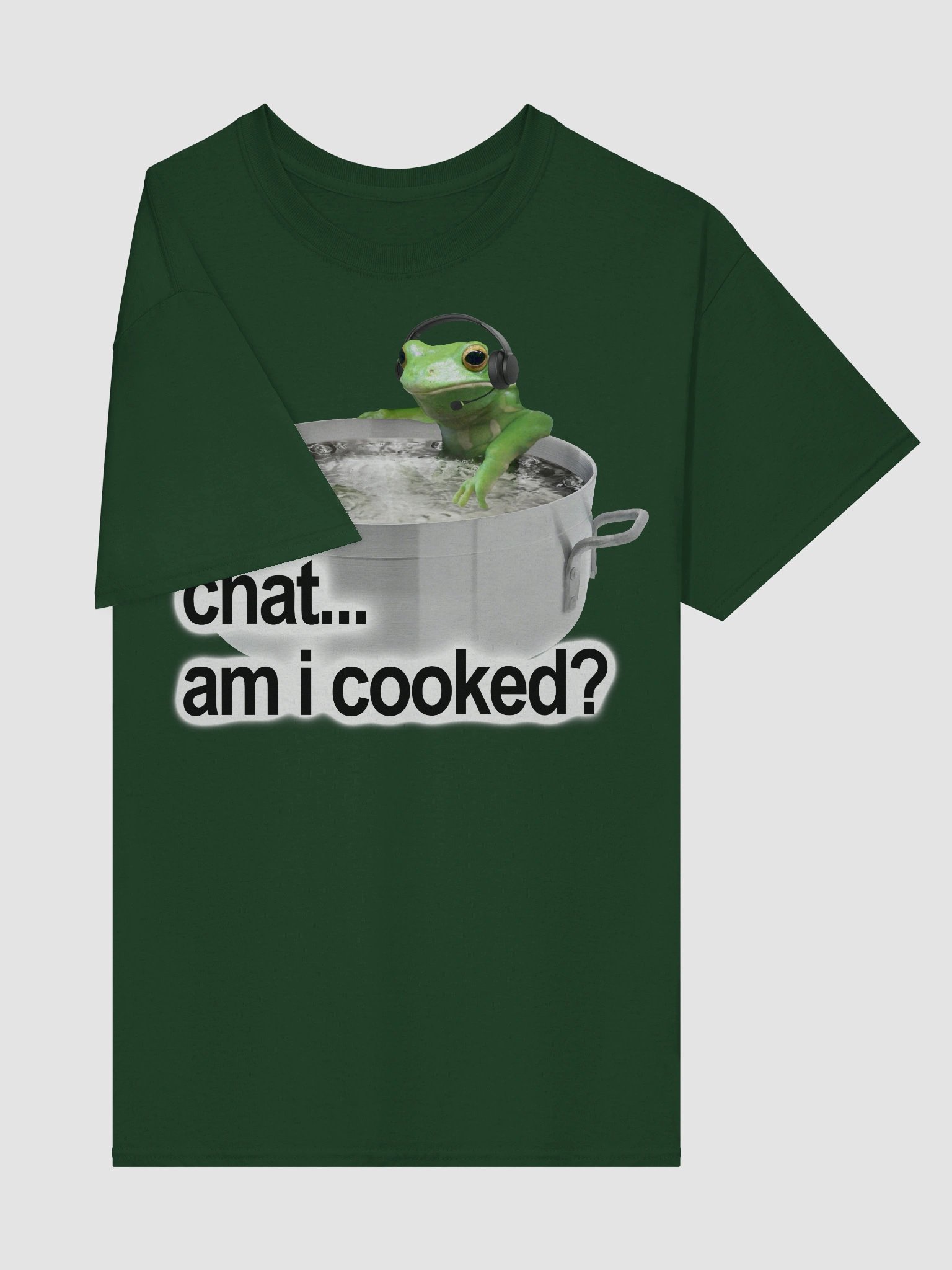 Chat Am I Cooked Frog T-shirt product image (5)