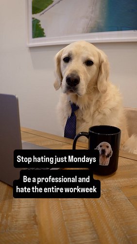 Stop hating just Monday people, hate the entire week! 😂 #monday #workweek #workmemes #corporatehumor #officelife