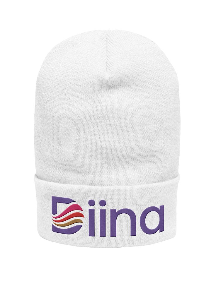 Diina Logo Embroidered Beanie product image (1)