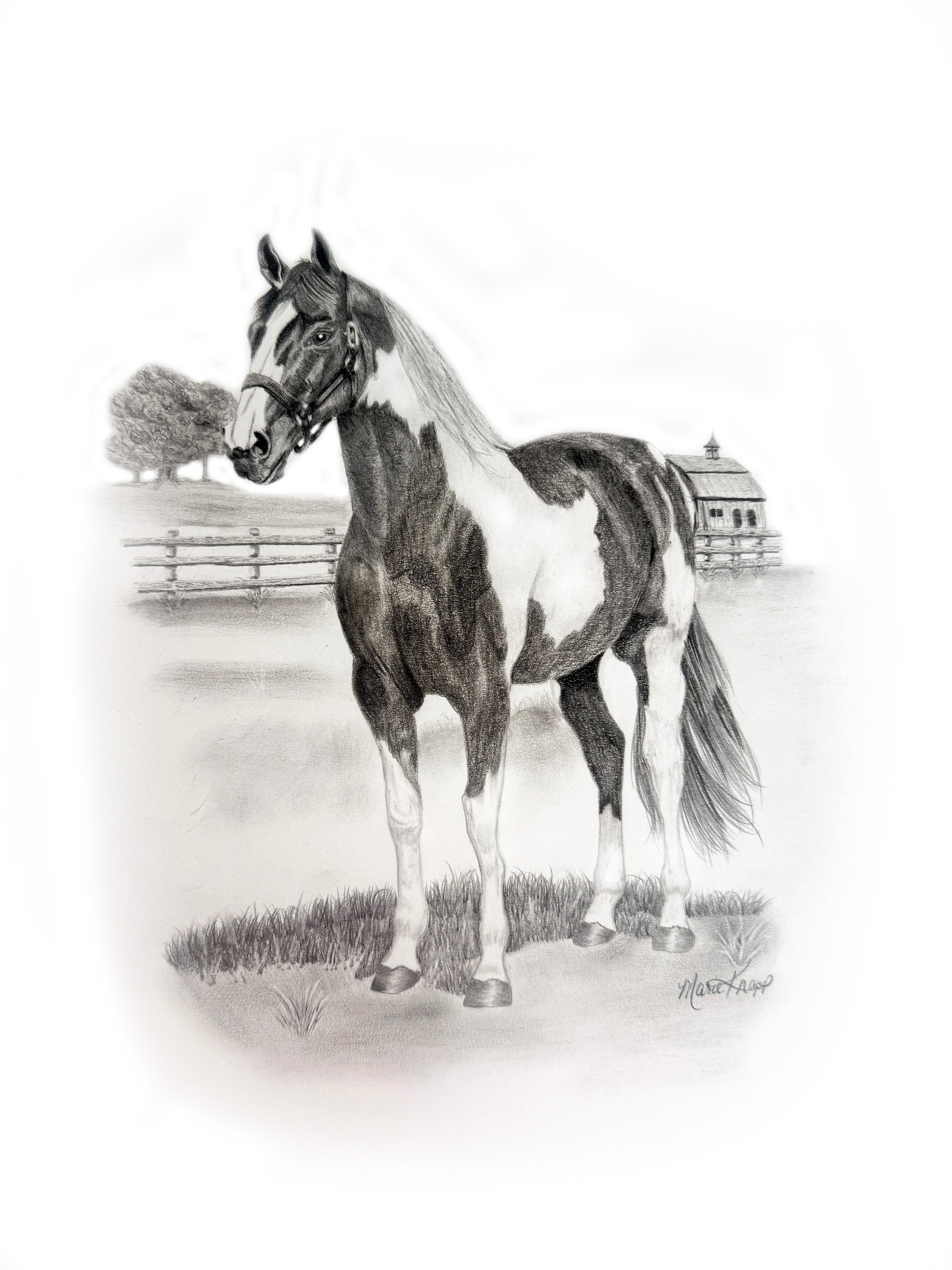 Led by Spirit - Original Graphite Drawing product image (3)