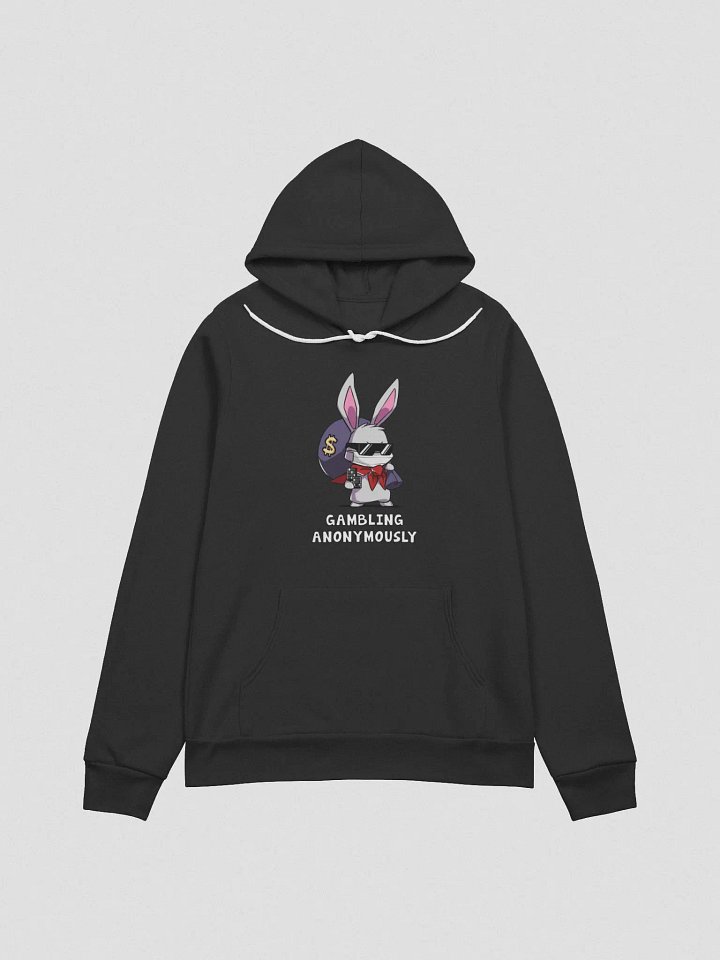 VP GA Hoodie - 4 Colors product image (1)