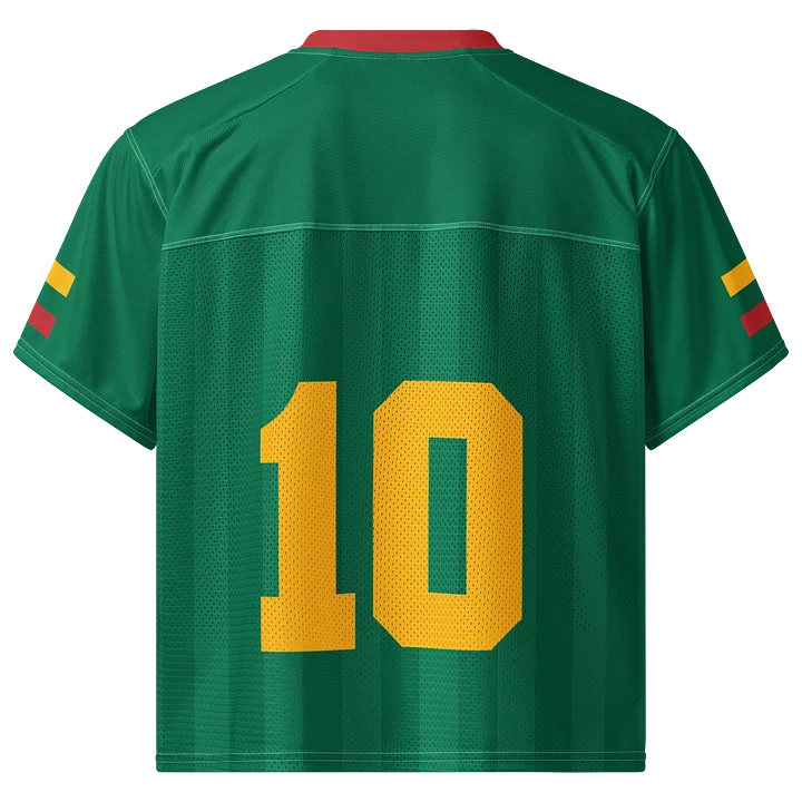 Lithuania Boxy Sports Tee product image (2)