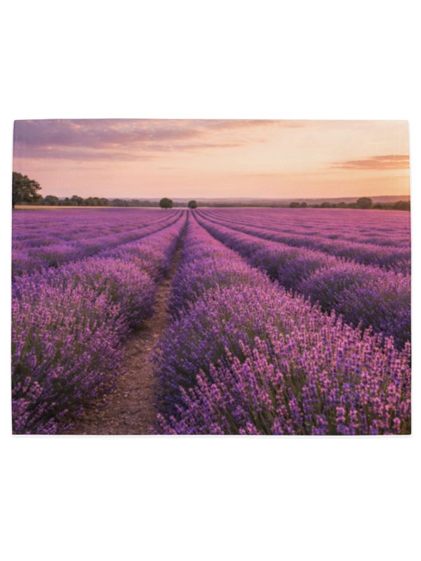 Peaceful-scapes Placemats (Set of 4) – Art for the Everyday Table product image (3)