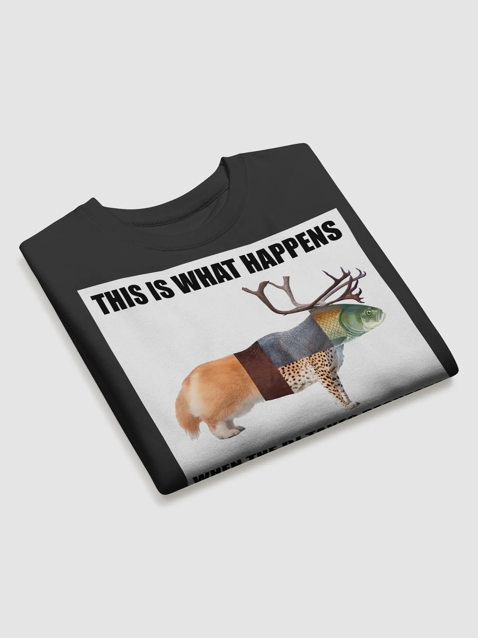 Meme Shirt #1 product image (3)