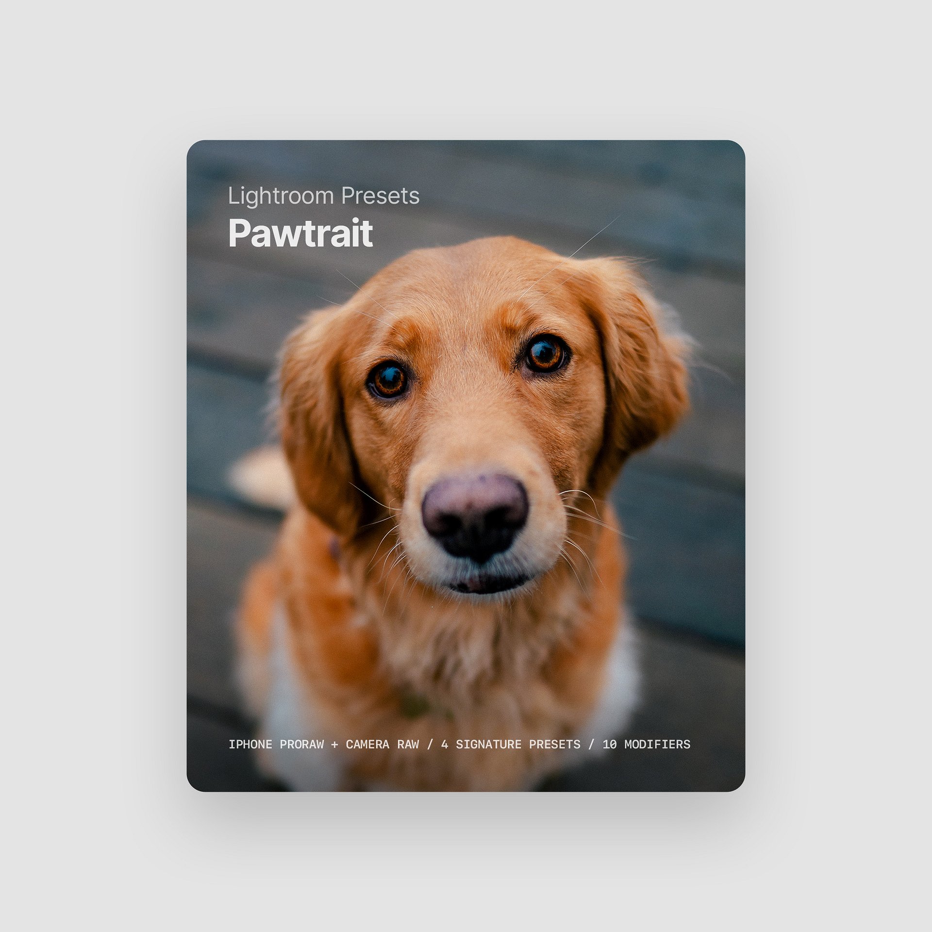 Pawtrait Presets product image (1)