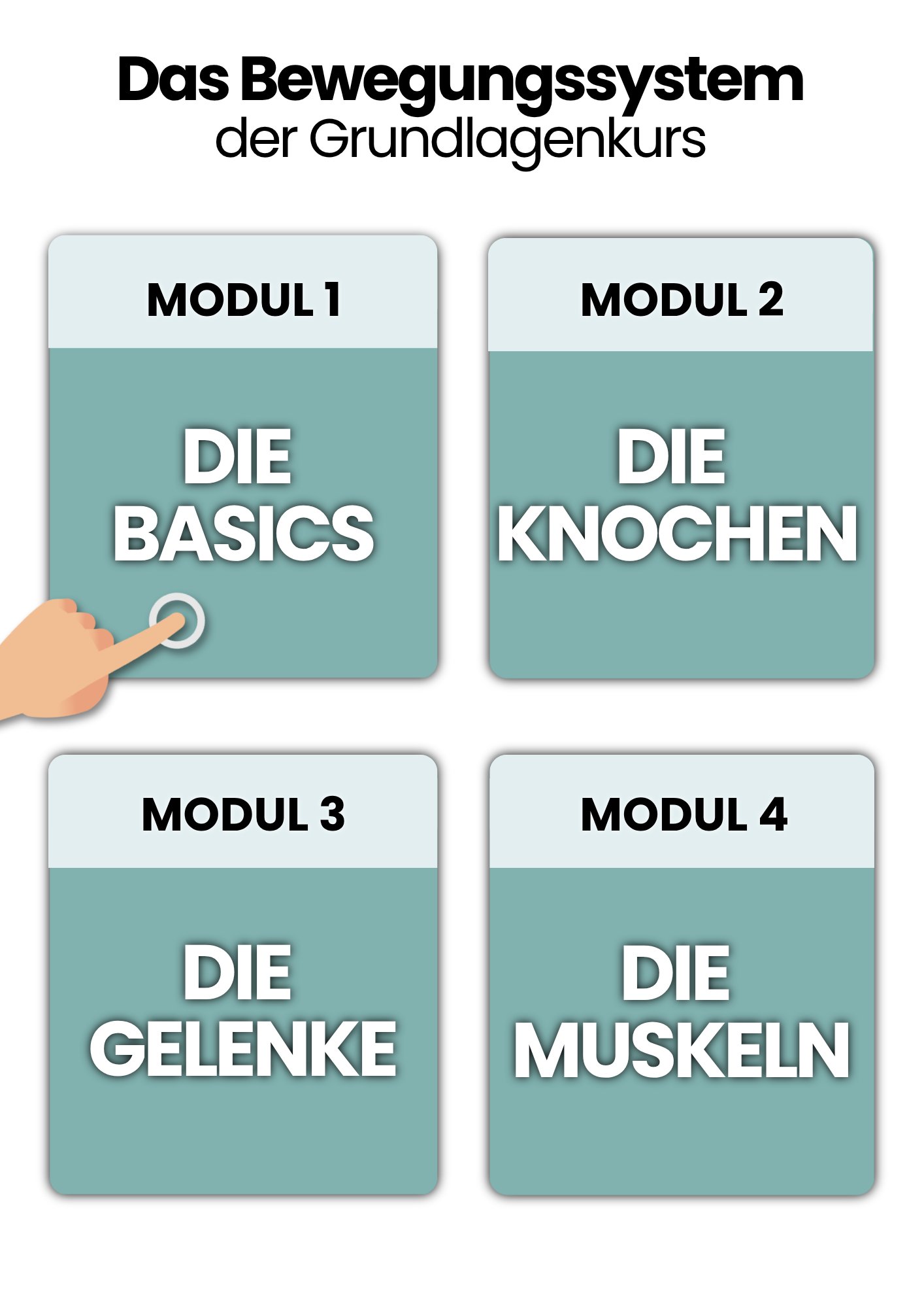 Das Bewegungssystem | der Grundlagenkurs product image (2)