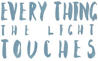 Every Thing The Light Touches