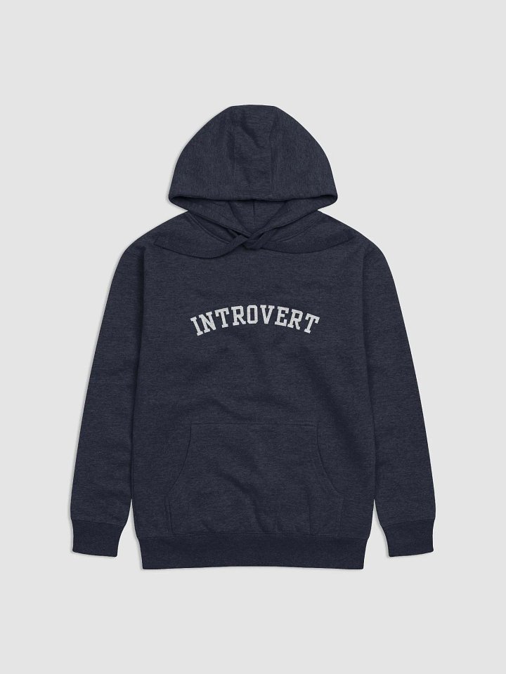 Introvert Hoodie product image (1)