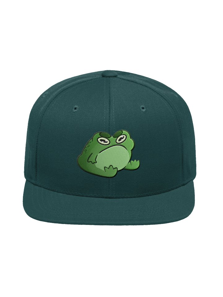 Grumpy Frog Snapback Cap product image (1)