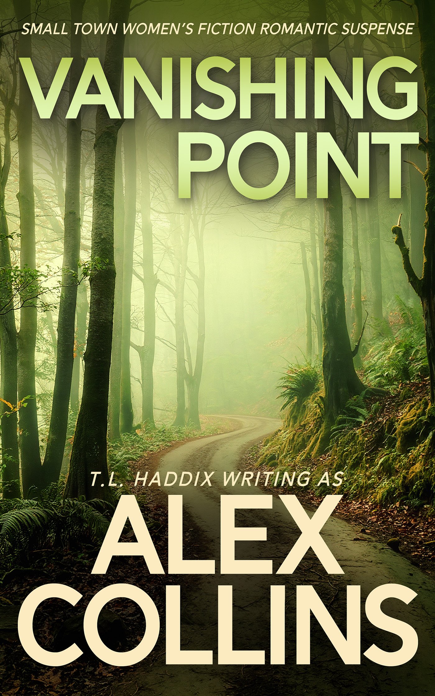 Vanishing Point product image (1)