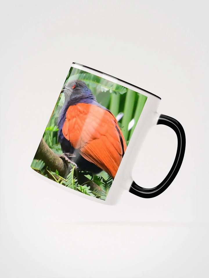 IUCAA Birds MUG product image (17)