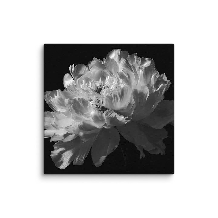 Carbon Bloom II — Ivory Mass Canvas product image (2)