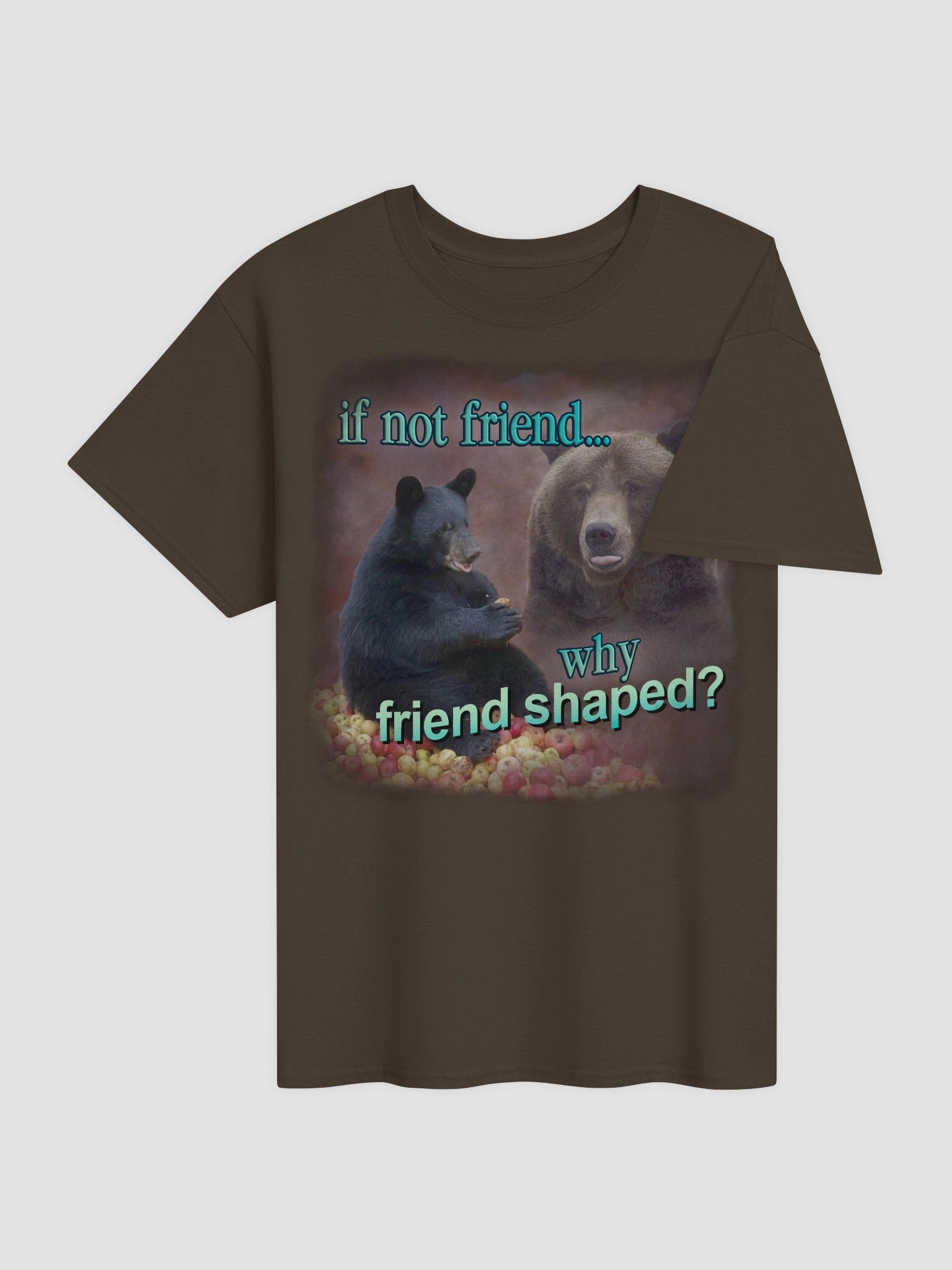 If Not Friend, Why Friend Shaped Bear T-shirt product image (4)