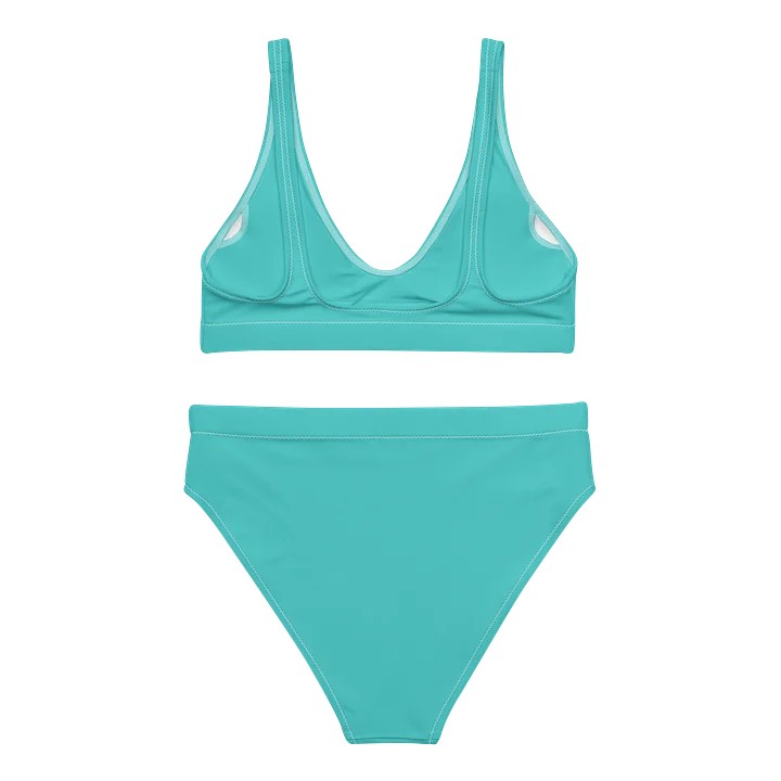 Bikini product image (2)