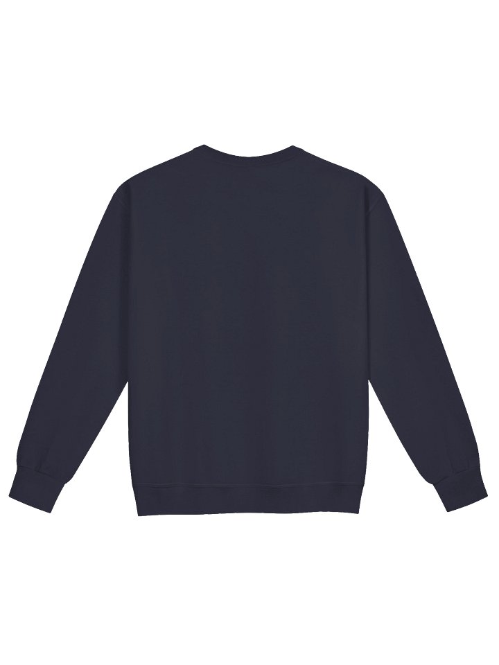 Queens College Sweatshirt product image (3)