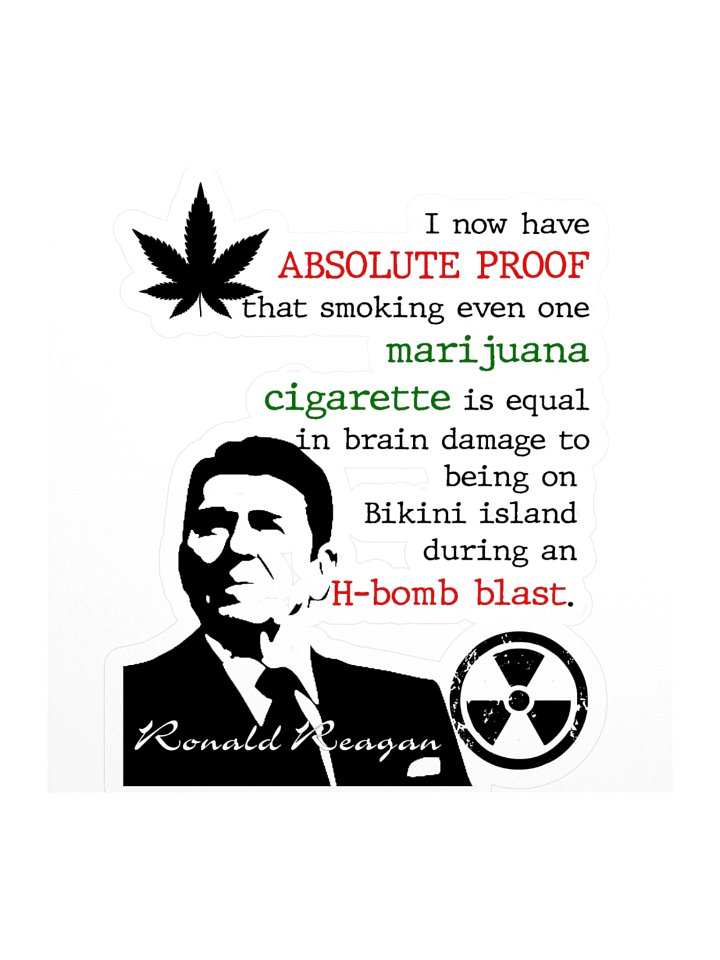 Ronnie Raygun product image (1)