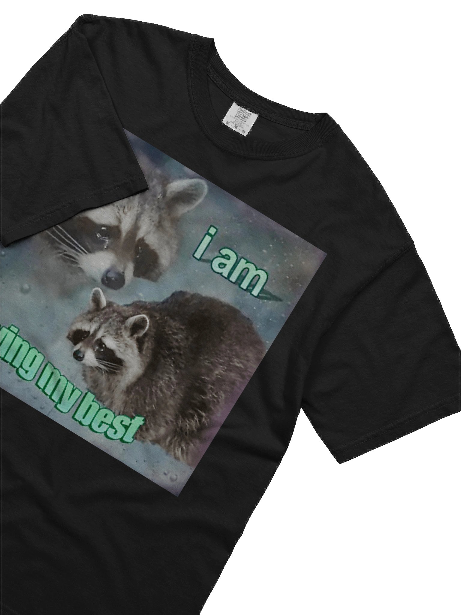 I Am Trying My Best Shirt product image (6)