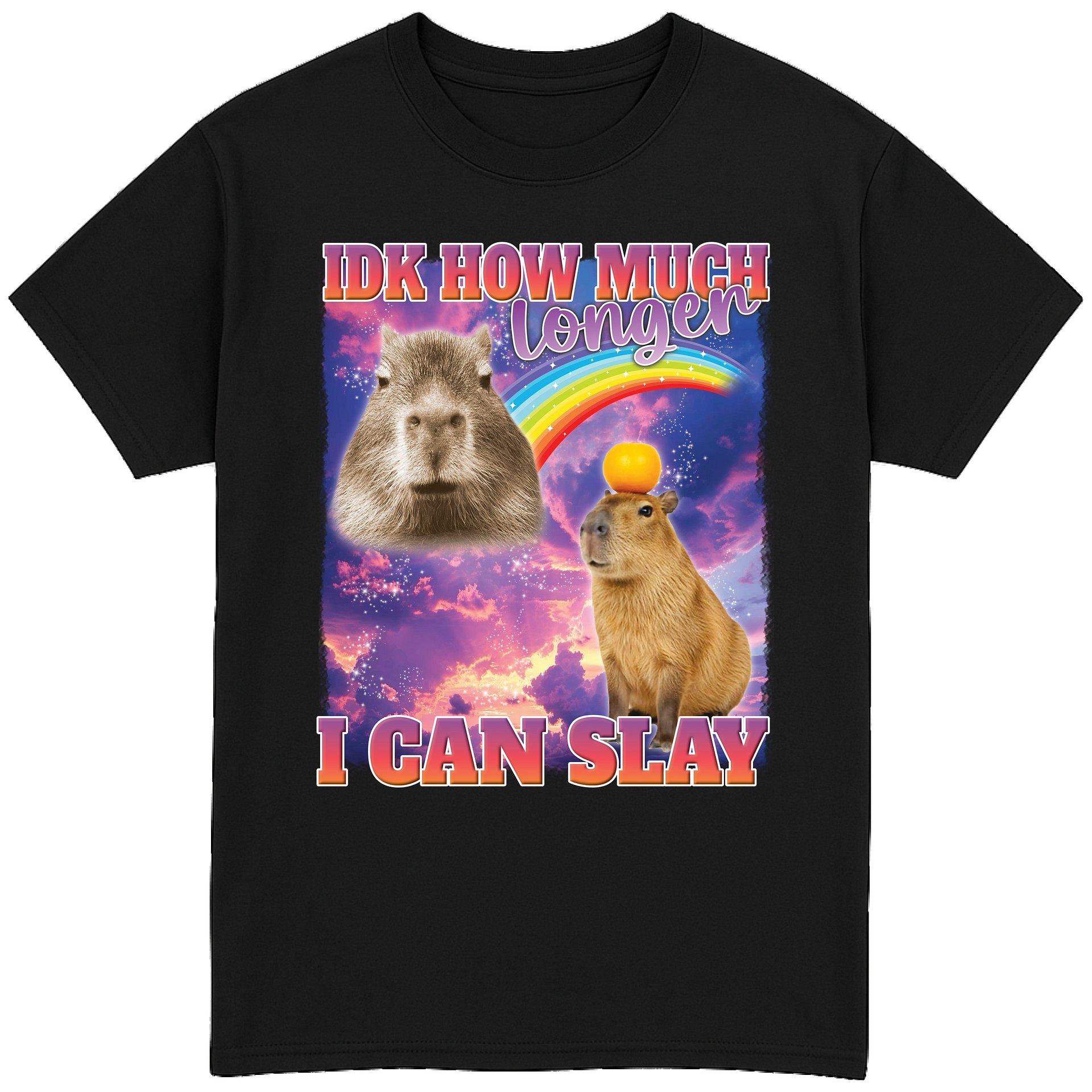 IDK How Much Longer I Can Slay T-Shirt product image (1)
