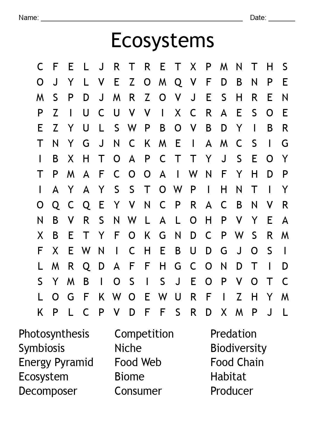Ecosystems Word Search - Science Vocabulary Activity product image (3)