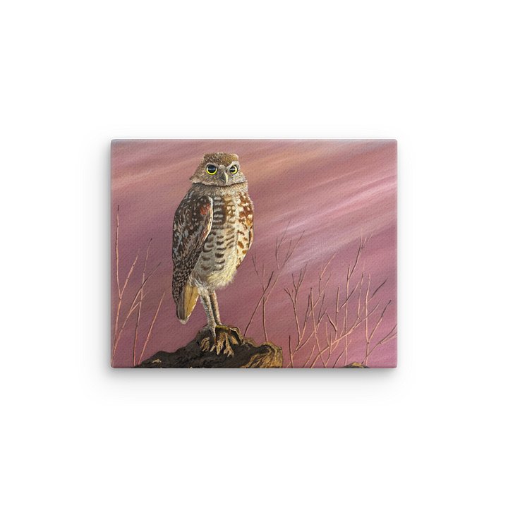Burrowing Owl — Canvas Print product image (1)