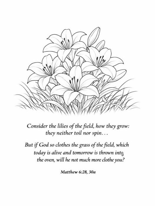 Lillies of the Field Coloring Page product image (1)