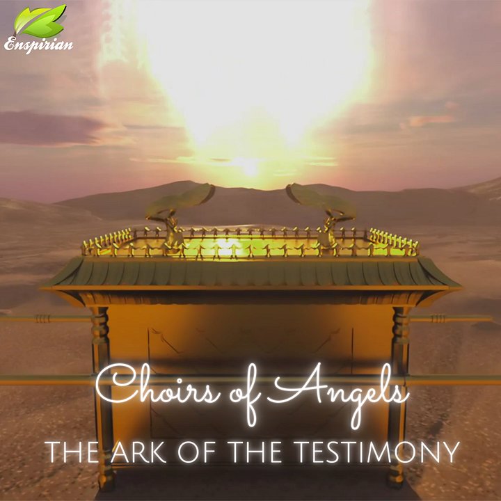 THE ARK OF THE TESTIMONY product image (1)