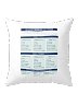 Spanish Regular -ER Verbs Conjugation Pillow
