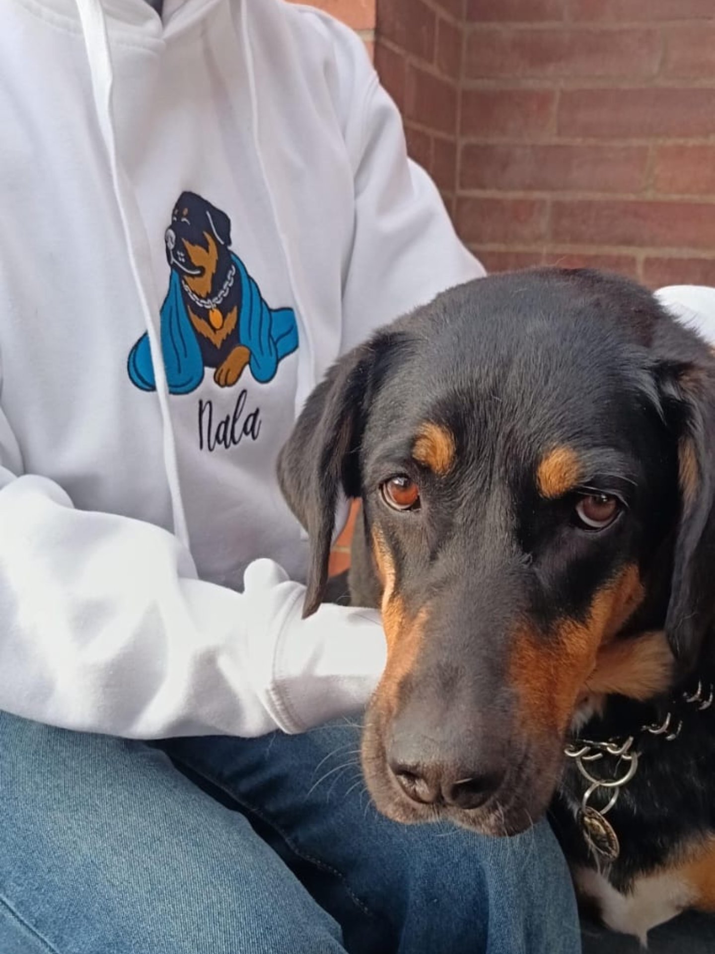 NALA💙 / EMBROIDERED HOODIE product image (3)