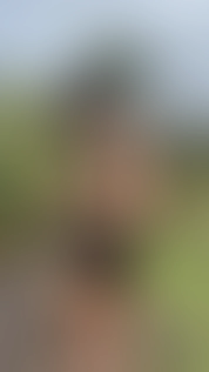 Video thumbnail background
