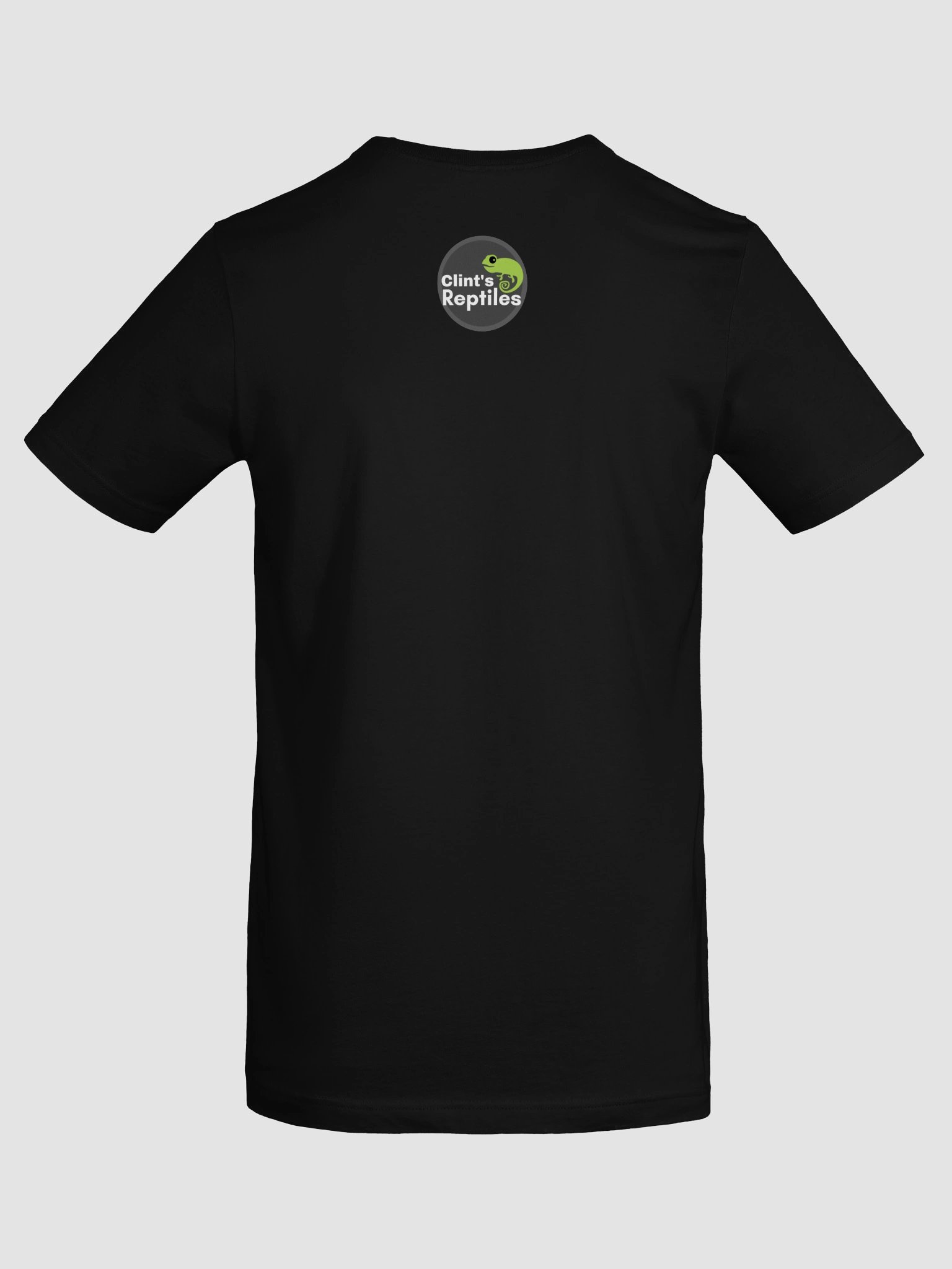 Spinosaurus - Shirt product image (6)