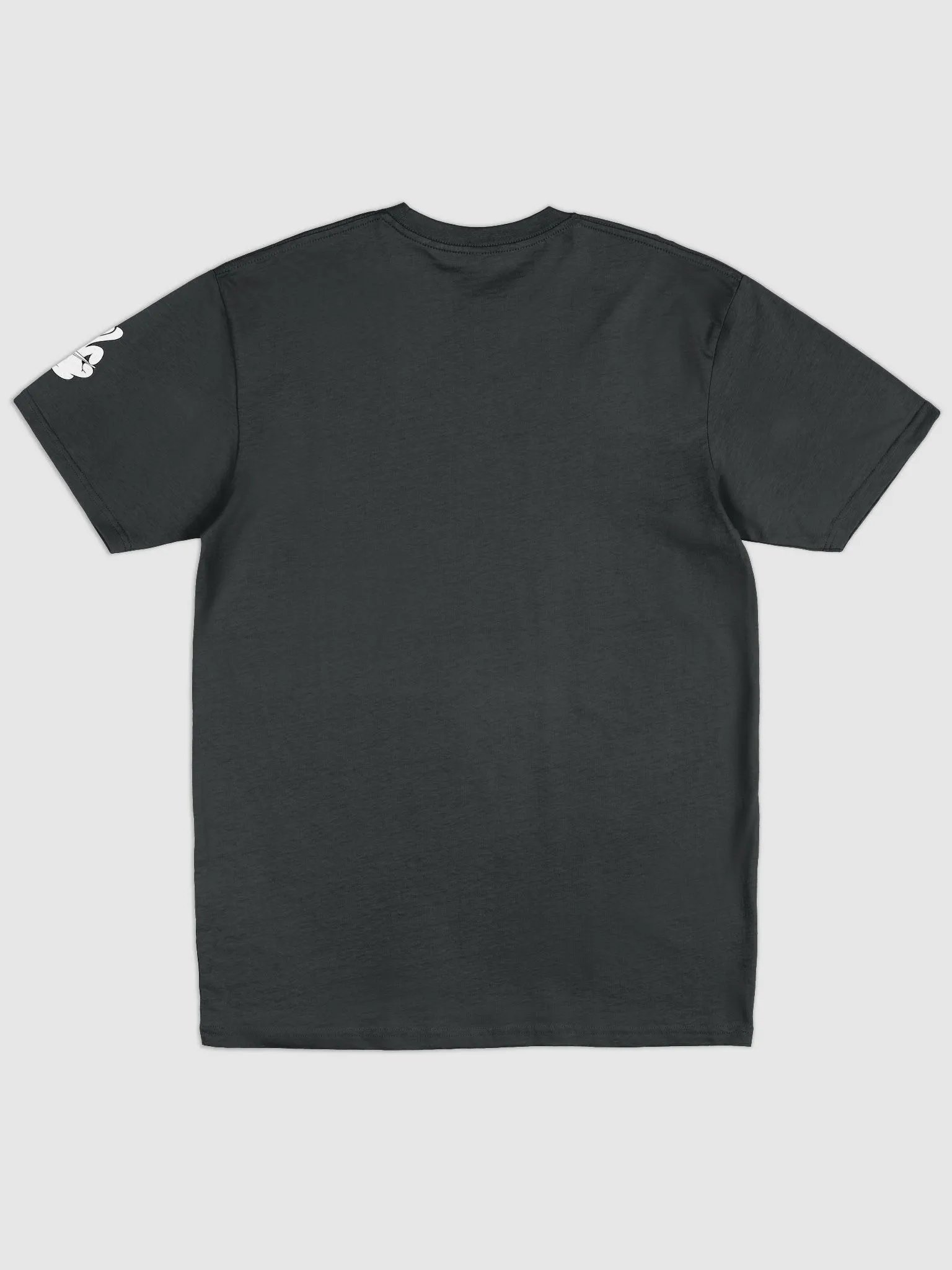 Chill Pilgrim Wordmark Tee product image (3)