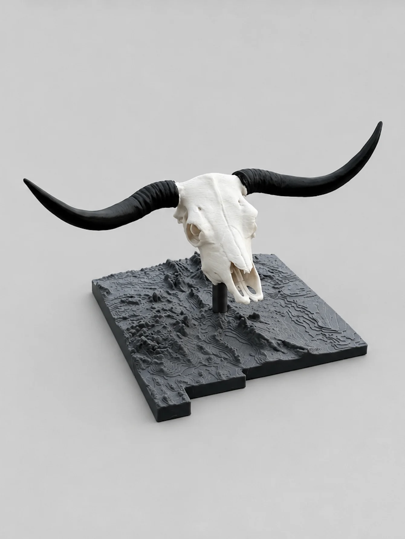 Longhorn Steer Euro Mount product image (2)