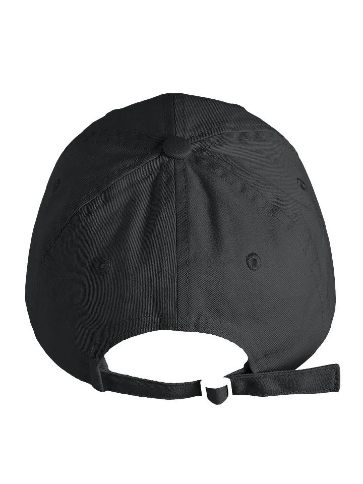 Truth Herts Dad Hat product image (9)
