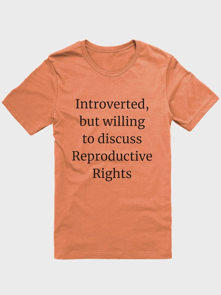 T-Shirt: Reproductive Rights product image (1)
